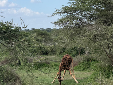 Unlimited Expeditions - The Soul Of Tanzania-阿鲁沙必去景点