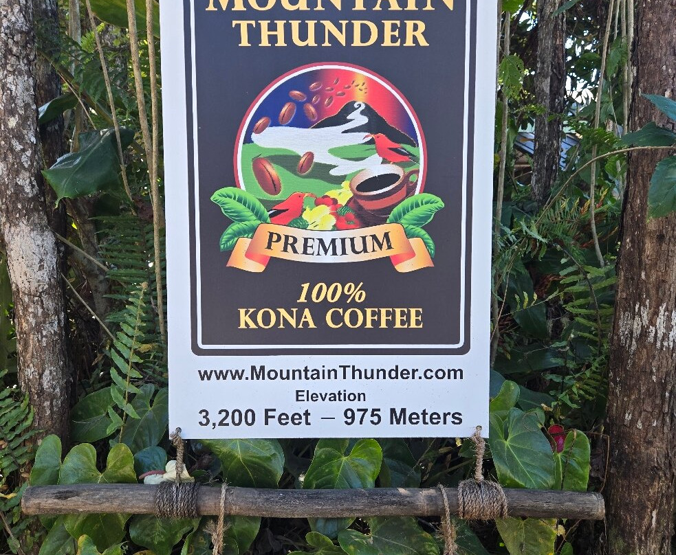 雷鸣山咖啡种植园-凯鲁瓦-柯纳必去景点