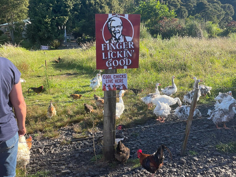 Awakeri Rail Adventures-法卡塔尼必去景点