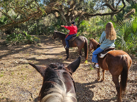 Wagon Wheel Horse Farm-奥基乔比必去景点