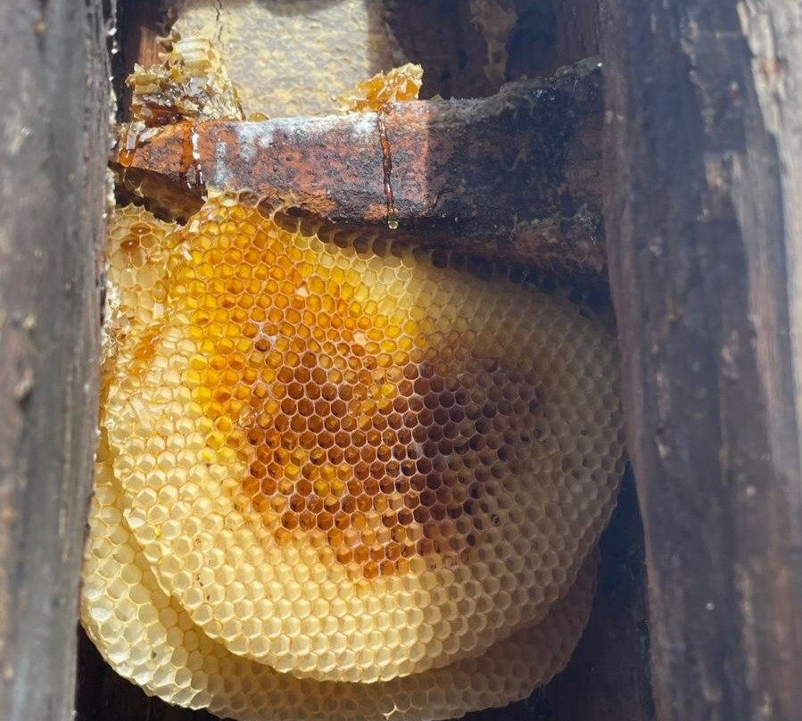 Muzeum Kultury Bartniczej-Augustow必去景点