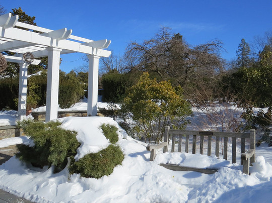 The Frelinghuysen Arboretum-莫里斯敦必去景点