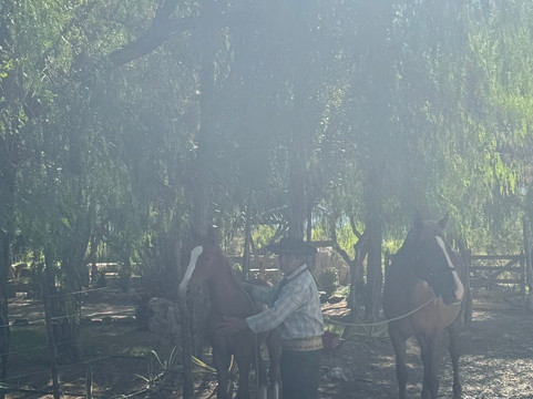 Rancho El Jarillal-门多萨必去景点