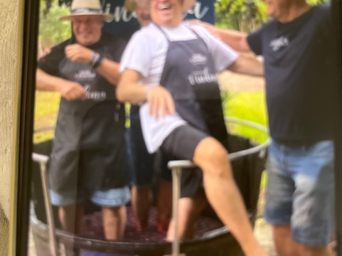 Vinicola Dom Cândido-本图贡萨尔维斯必去景点