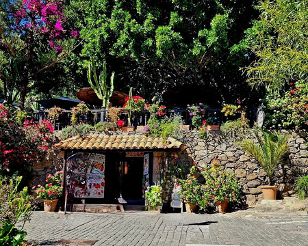 Cool Runnings-Caleta de Fuste必去景点