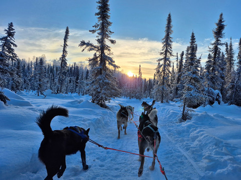 Snowhook Adventure Guides of Alaska-Willow必去景点
