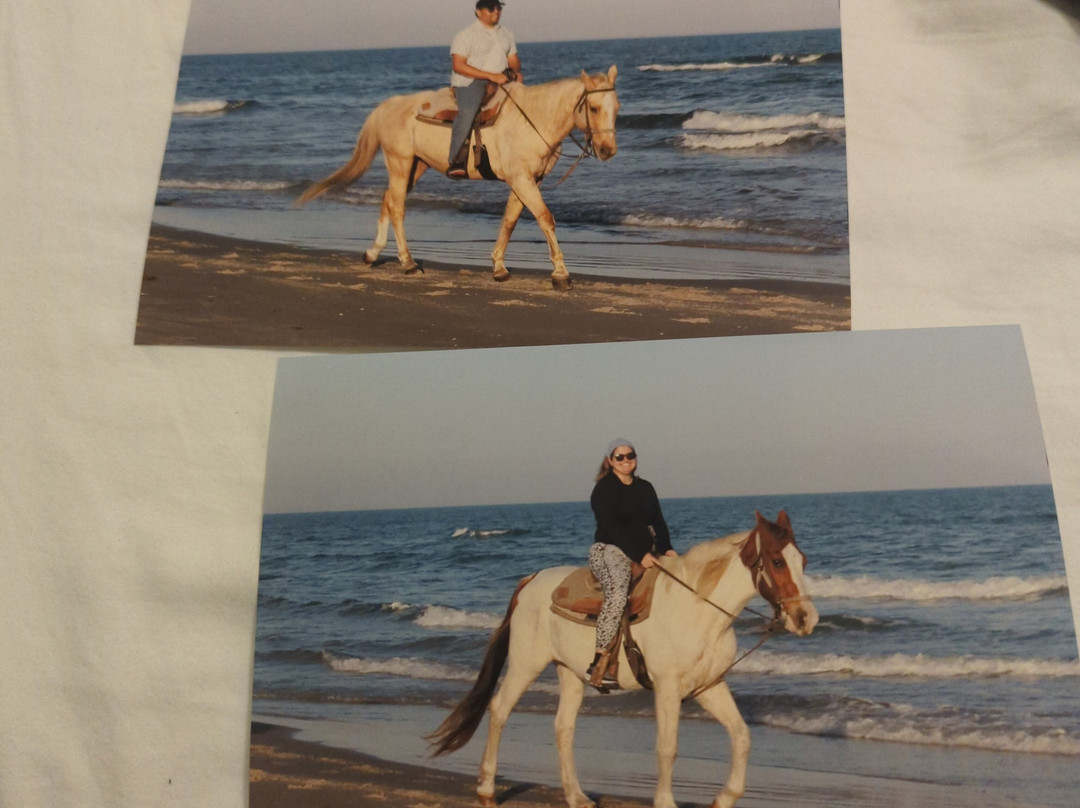 Horses On The Beach: Corpus Christi-科珀斯克里斯蒂市必去景点