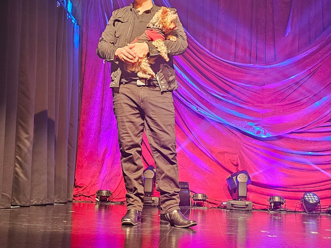 Jason Bishop Straight Up Magic-坦纳斯维尔必去景点