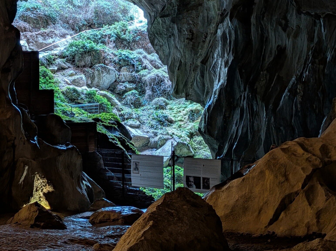 Grotte de Lombrives-Ussat必去景点