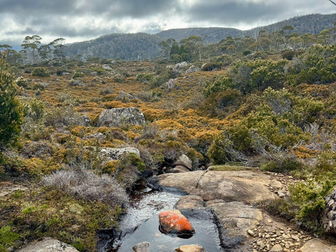 Tasmanian Expeditions-Invermay必去景点