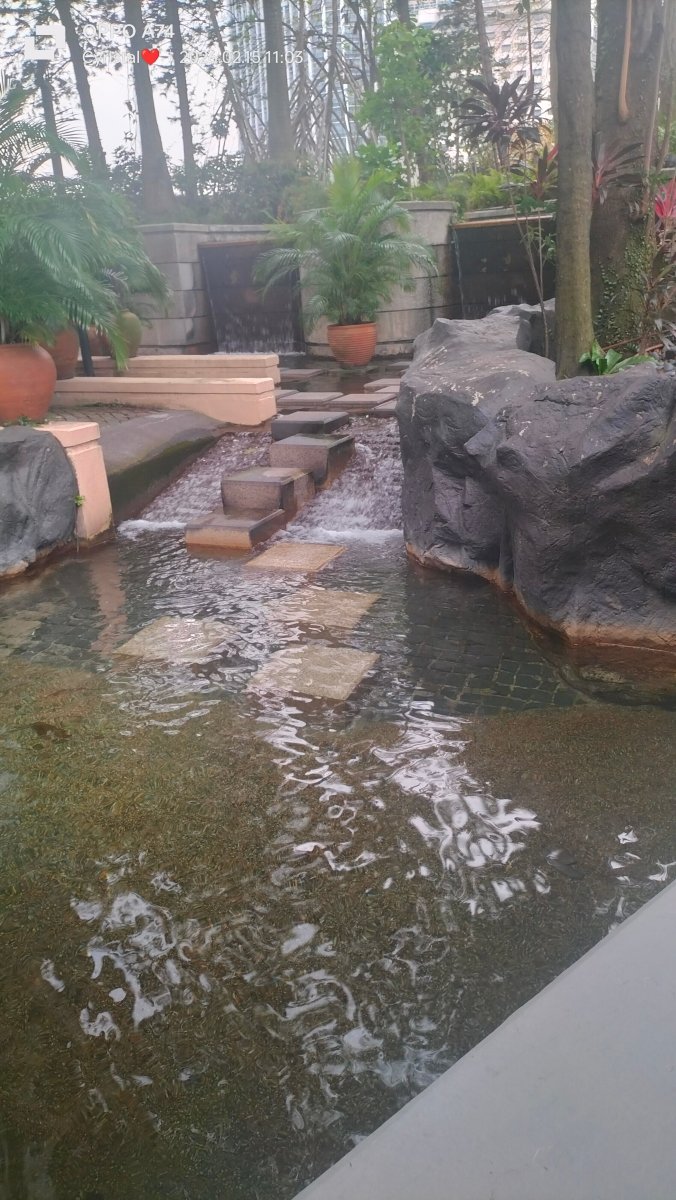 吉隆坡艾美酒店-泳池