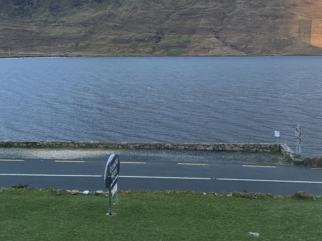 Kylemore House B&B
