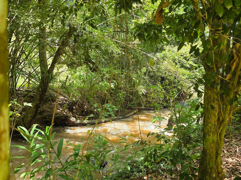 Cachoeira E Cervejaria Breeze-Cajuru必去景点