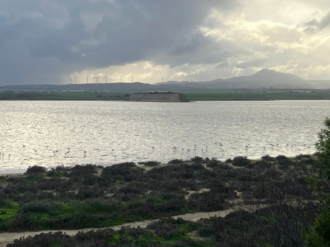 Larnaka Salt Lake-拉纳加必去景点