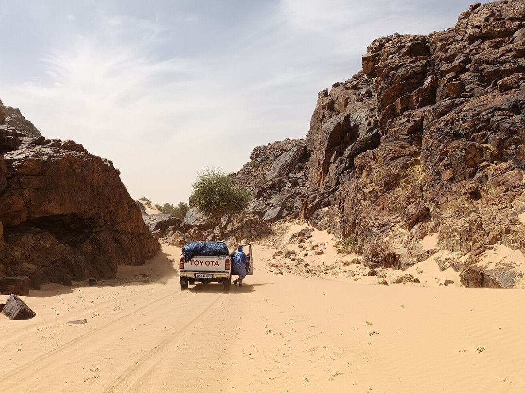 Atar Voyages-Atar必去景点