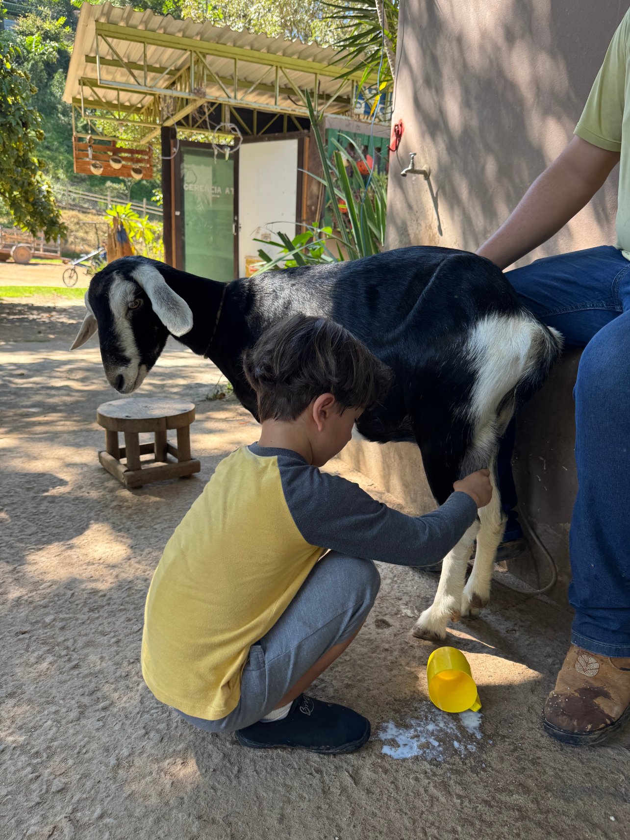 Hotel Fazenda Terra Dos Sonhos-官方