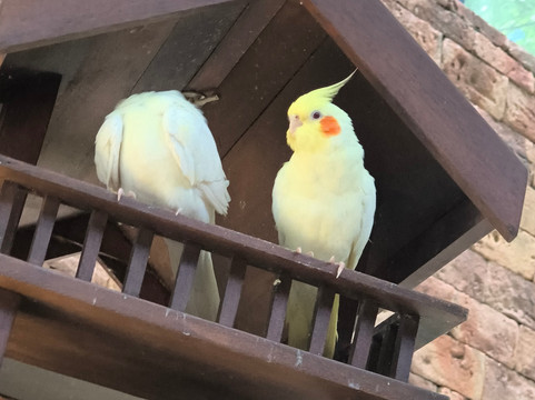 保罗精品酒店主图