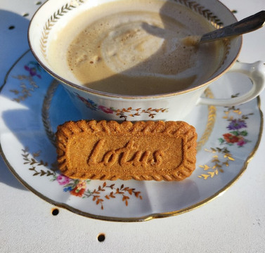 Emotions Sans Modération