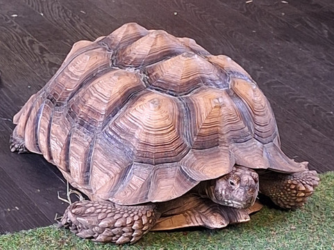 Milestone Ranch Country Park-唐克斯特必去景点
