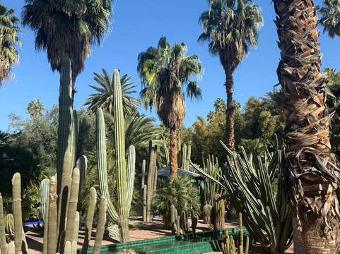 Taste of Morocco Adventures SARLAU-马拉喀什必去景点