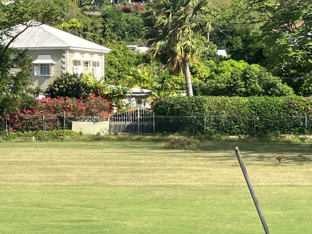 梅花树俱乐部公寓-官方