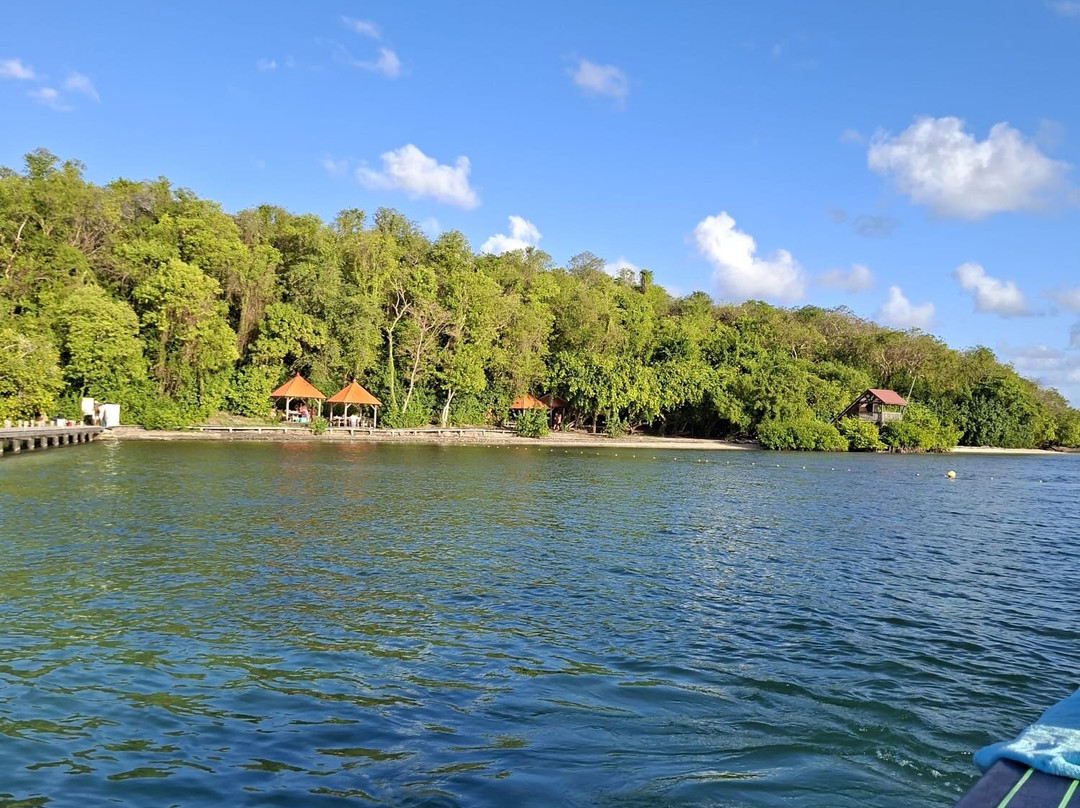 Capitaine Titi Balades en Mer-La Trinite必去景点