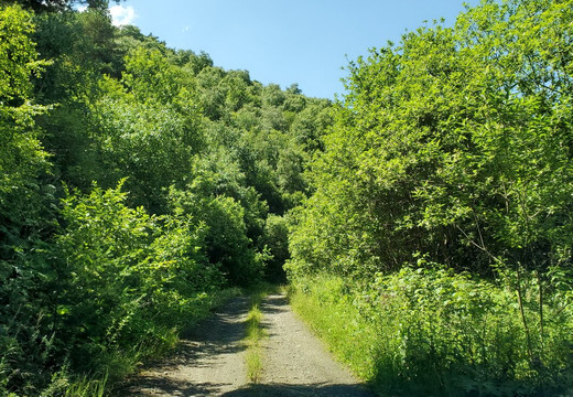 Federal Tseyskiy Reserve-Alagir必去景点