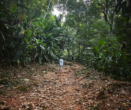 Sentier du Rorota-Remire-Montjoly必去景点
