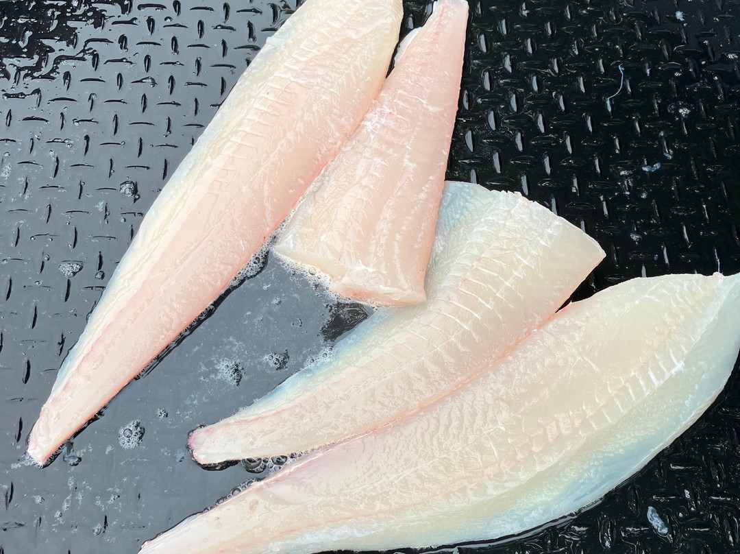 Virago Sound Sportfishing-Masset必去景点