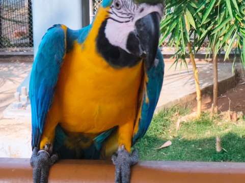 Trichy Birds Park-Tiruchirappalli District必去景点