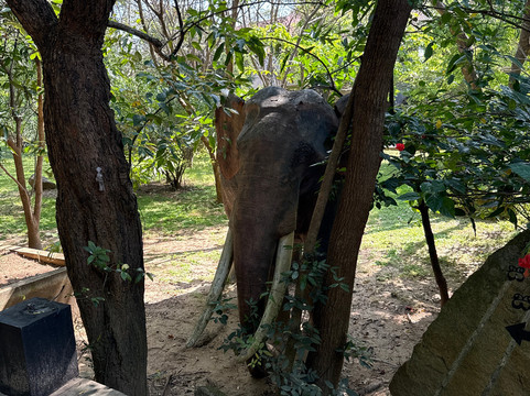 梦想女人海滩高尔夫水疗度假村-全包式主图