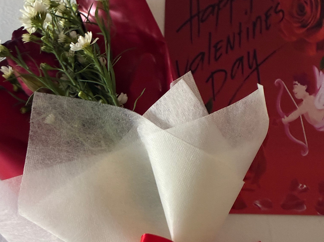 布里拉萨村-帕岸岛主图