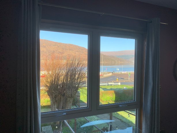 菩提树酒店-官方