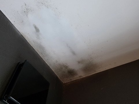 Occitana别墅主图