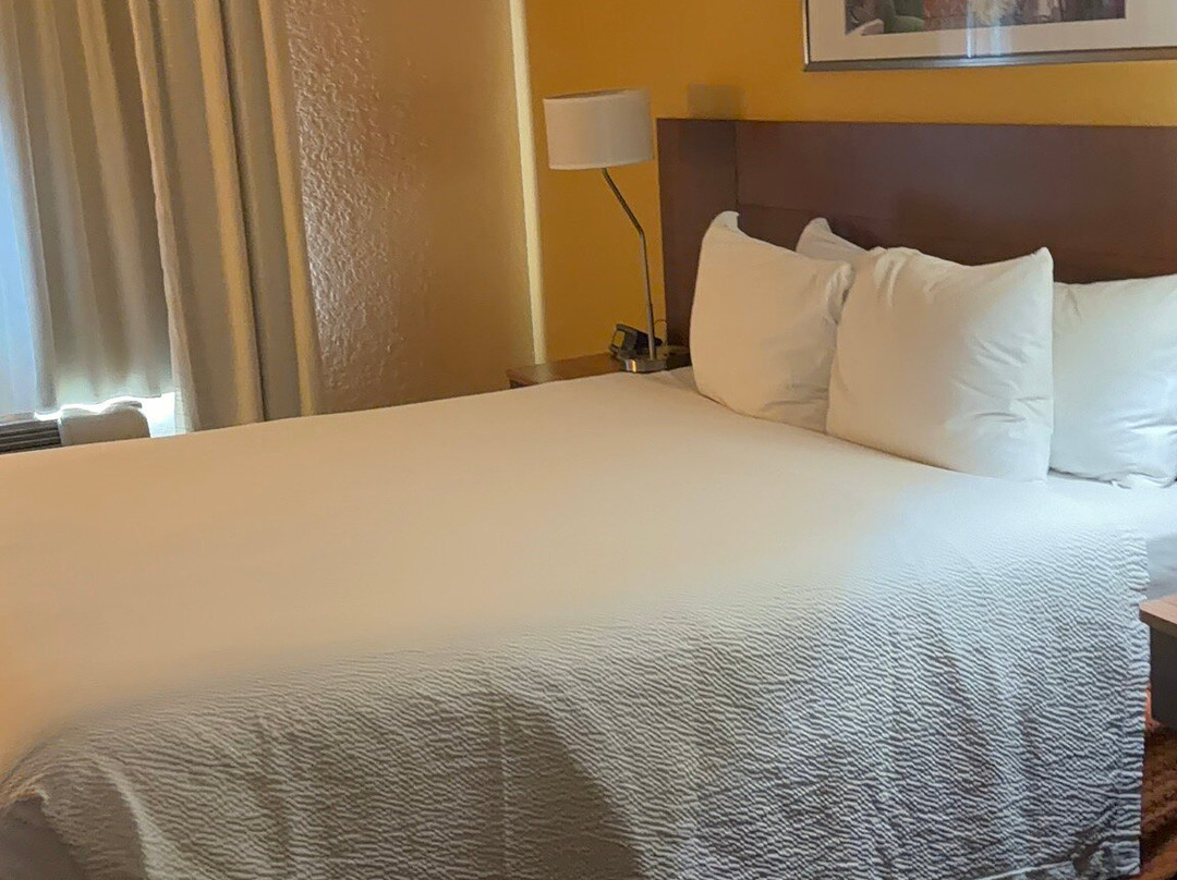 Fairfield Inn & Suites West Palm Beach Jupiter主图