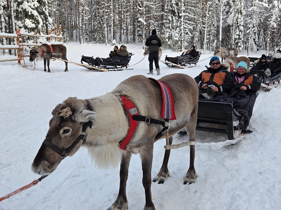 Wild About Lapland-罗瓦涅米必去景点