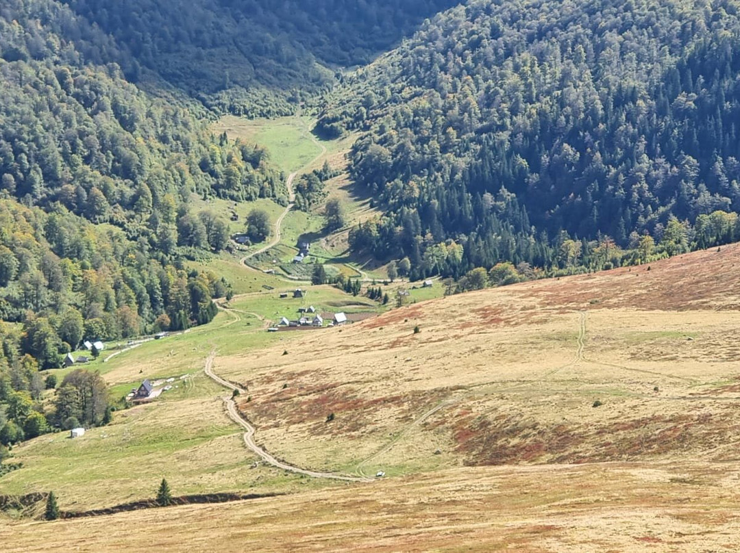 Lazy Horse Riding Center-Tarcin必去景点