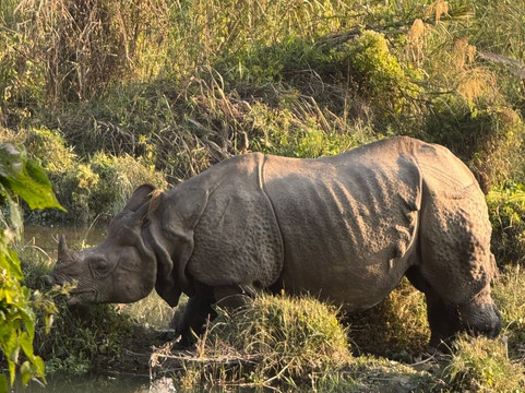 Jungle Expert Treks and Tours-Ratnanagar必去景点