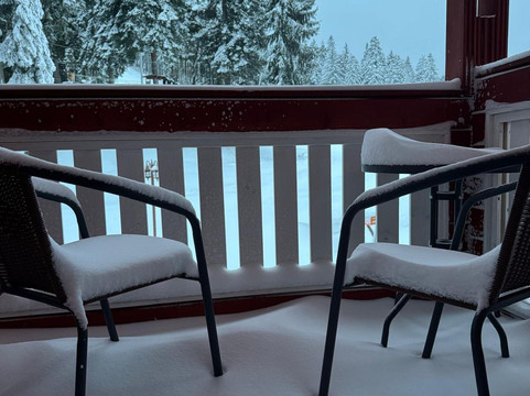 阿尔卑斯酒店主图