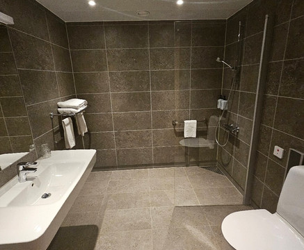 斯堪的纳基鲁纳主图