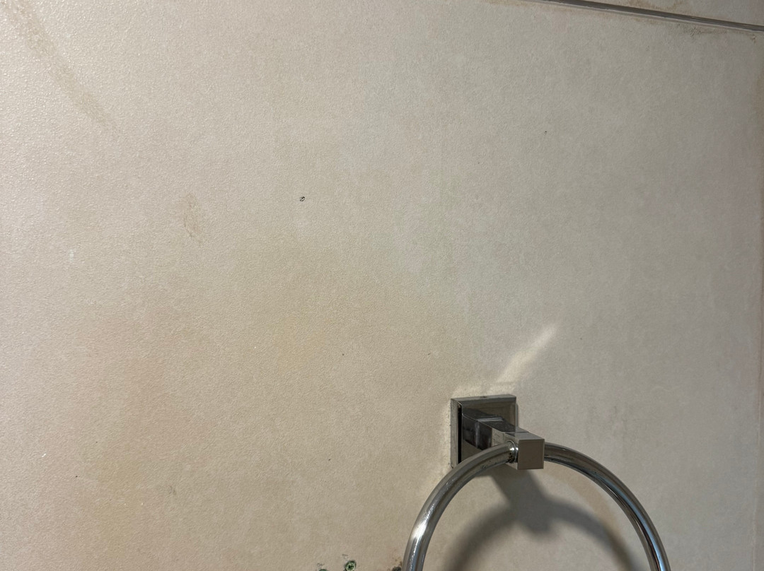 丽晶塔中央哈利姆加拉巴鲁奇酒店主图