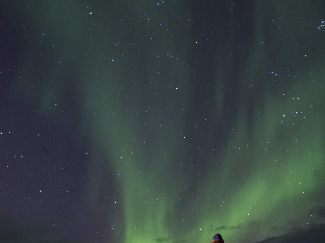 Nordkyn Nordic Safari-Mehamn必去景点