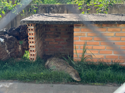 Bio Park-博尼图必去景点