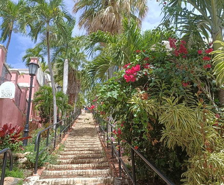 99 Steps-夏洛特阿马利亚必去景点