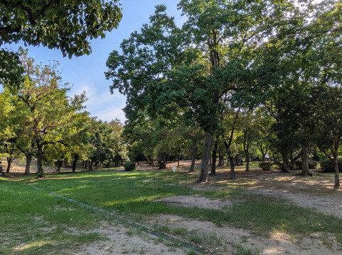 Senri Central Park-丰中市必去景点