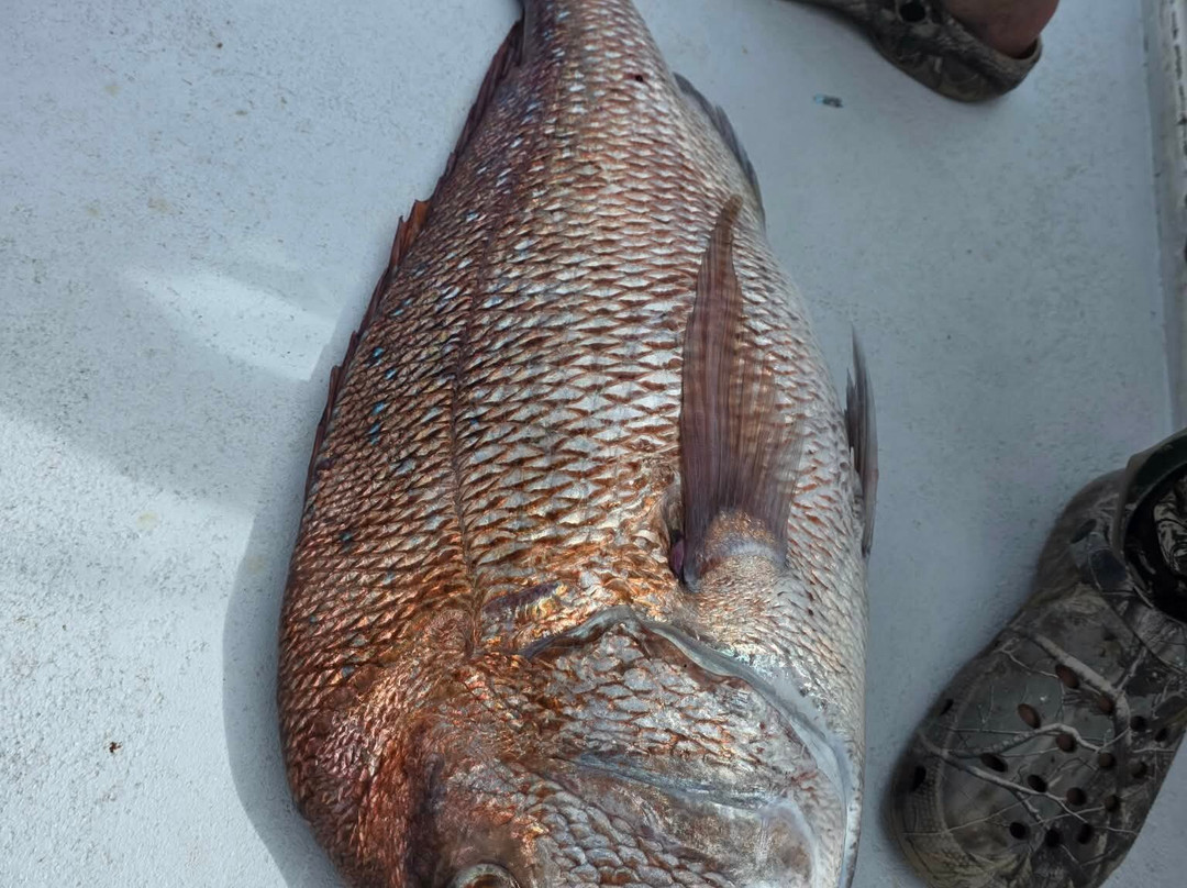 May marie fishing charters-派希亚必去景点