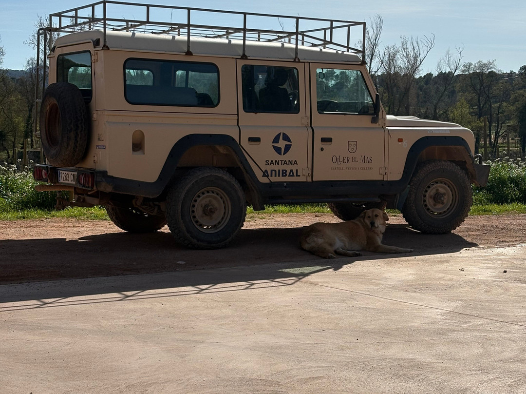 Oller del Mas-曼雷萨必去景点