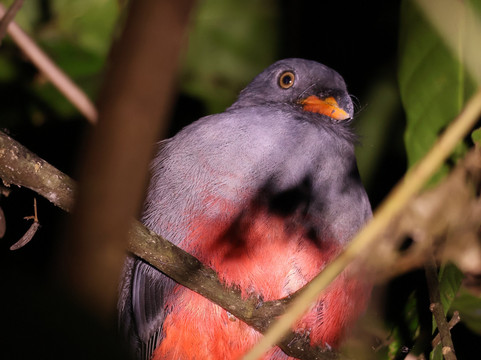 Manuel Tour Guide-卡维塔必去景点
