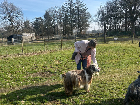 Wee Eden-West Calder必去景点