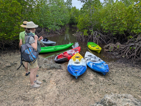 Bwejuu Mangrove Tunnels Kayak-必韦久必去景点